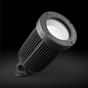 Jabalina Frog | Idea