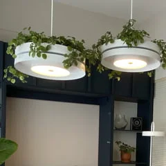 Botánica Grande 4