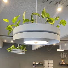 Botánica Grande 1