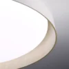 Plafón LED CHESTER 45W de Leuk