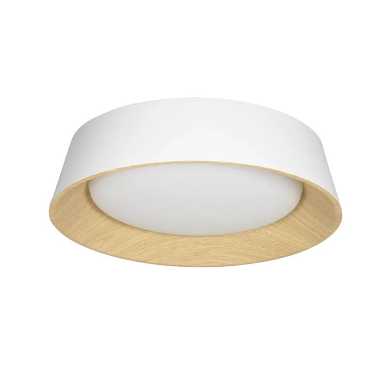 Plafón LED DAKOTA 25W de Leuk