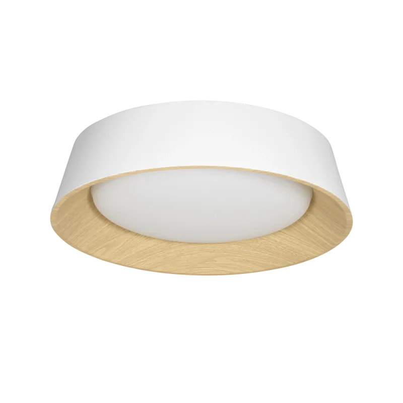 Plafón LED DAKOTA 25W de Leuk